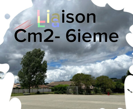 Liaison CM2 rentree 2024.jpg